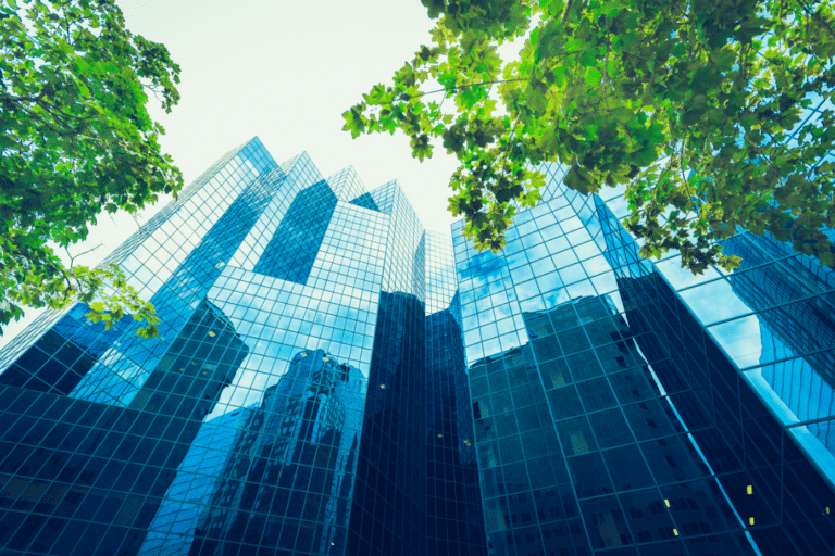 Reflective glass skyscrapers towering against the sky with green leaves framing the view.