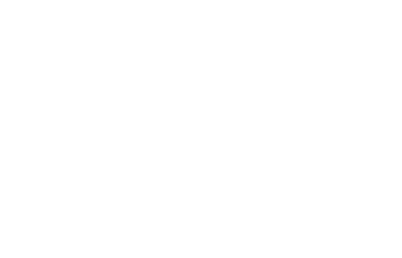 Logo for "The Trailblazers" presented by BST Global, featuring a microphone icon above the text.