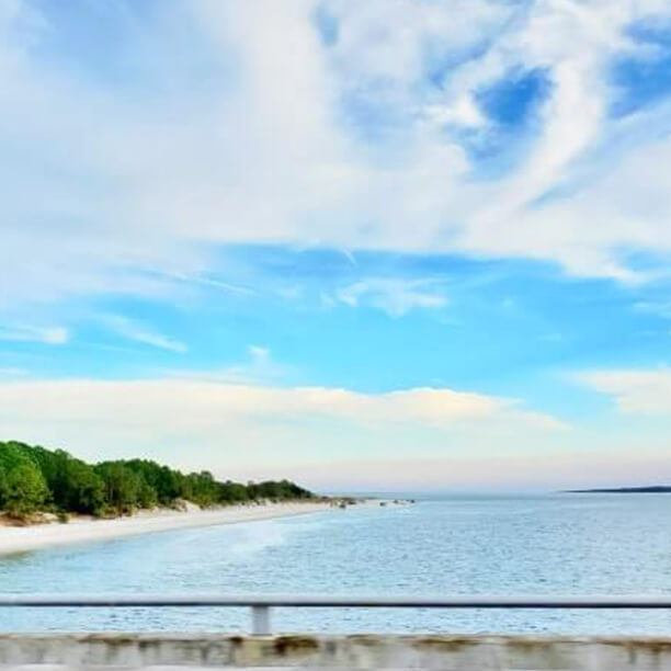 Amelia Island State Park image