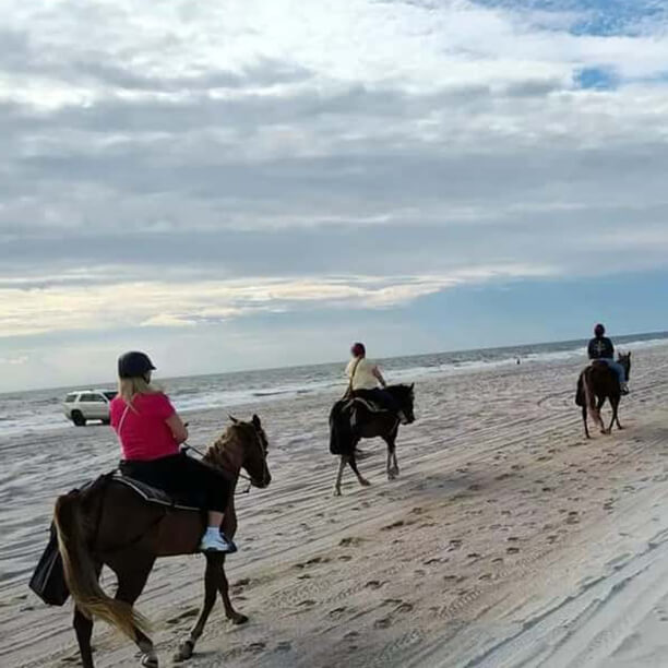 Beach horseback riding image