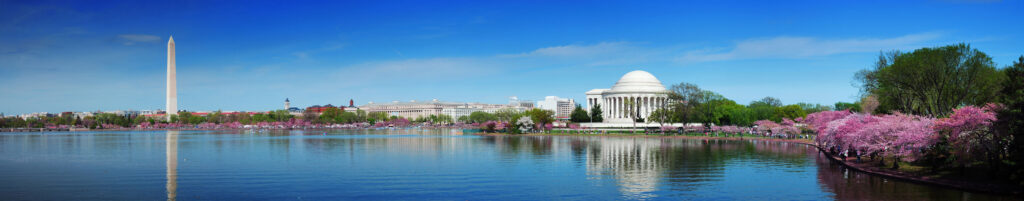 Panoramic view of the Washington Monument and Jefferson Memorial with cherry blossom trees in bloom along the water under a clear blue sky.