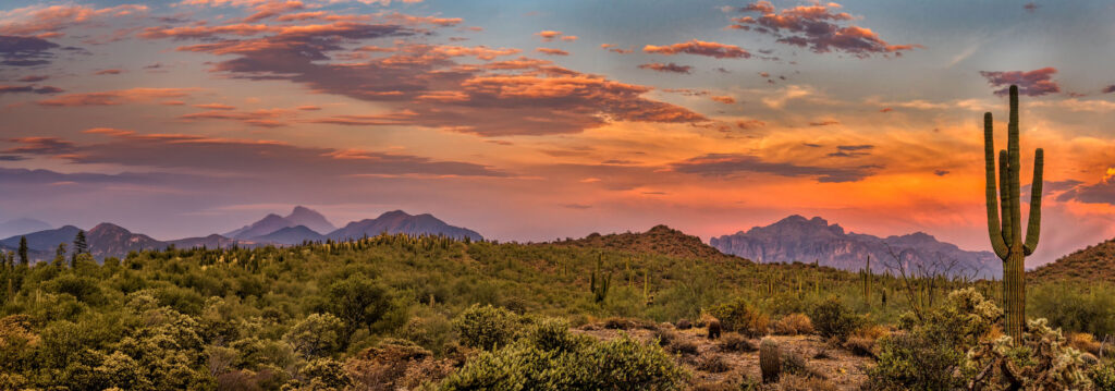 Panoramic view of a desert landscape with cacti, shrubs, distant mountains, and a colorful sunset sky with scattered clouds.